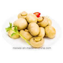 425g de champignons en conserve en provenance de Chine